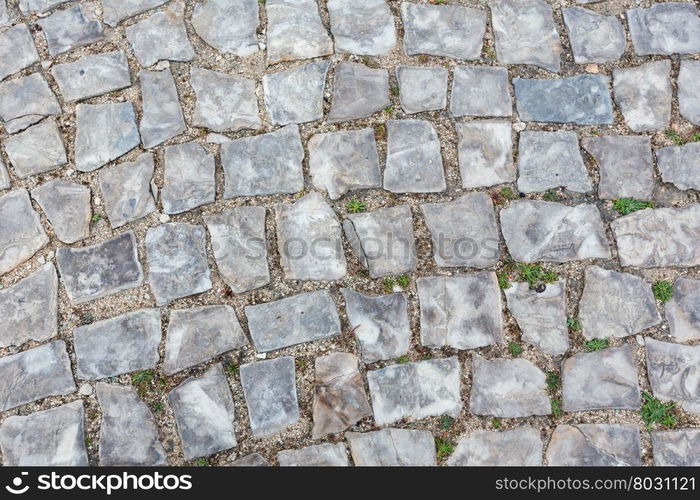 Cobbled road closeup in town as background.