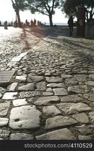 Cobbled street and trees, Lisbon, Portugal