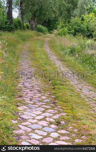 cobblestone road in the forest, the old forest road of their cobblestones. the old forest road of their cobblestones, cobblestone road in the forest
