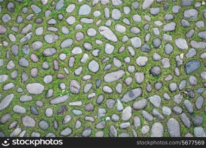 cobblestone texture with grass between blocks