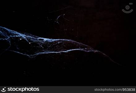 cobweb or spider web