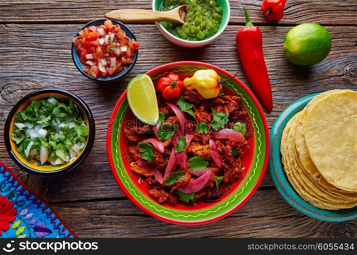Cochinita Pibil Mexican platillo food with red onion and coriander