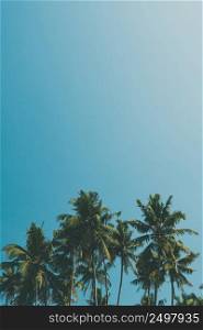 Cocnut palm trees on tropical beach, vintage film color stylized