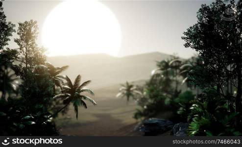 Coco palm trees tropical landscape with smoke and sun beam. Coco palm trees tropical landscape
