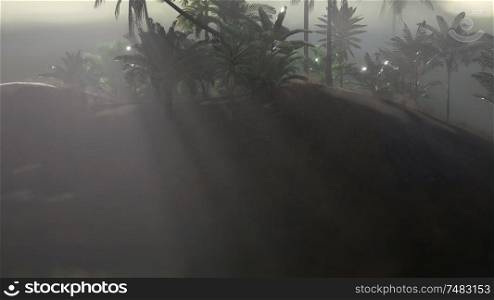 Coco palm trees tropical landscape with smoke and sun beam. Coco palm trees tropical landscape