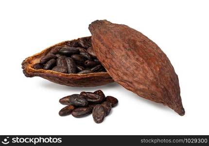 Cocoa Pod And Beans isolated on white background. Cocoa pod