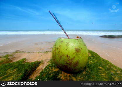 coconut cocktail on beach sand