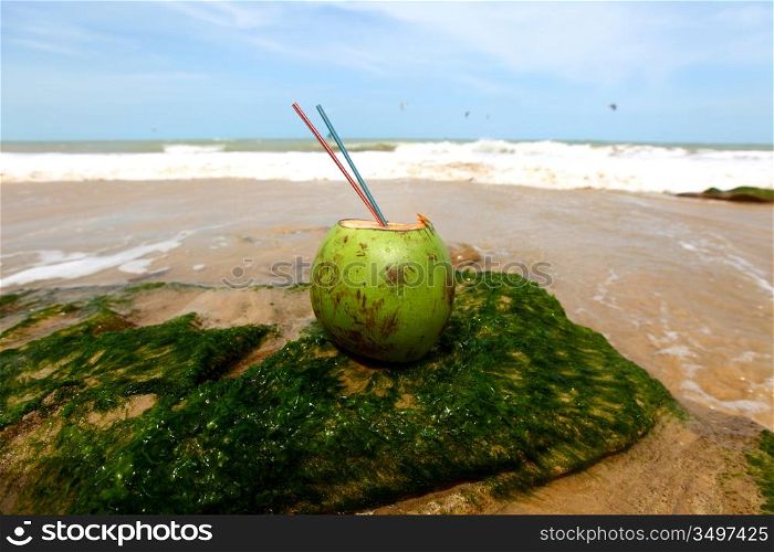 coconut cocktail on beach sand