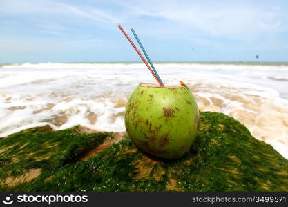 coconut cocktail on beach sand