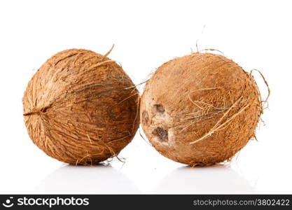 Coconut isolated on white