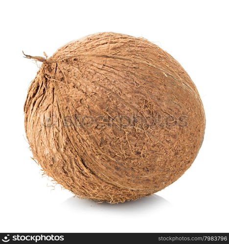 Coconut isolated on white background