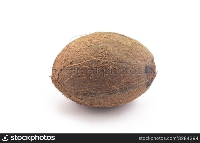 coconut lying on a white background