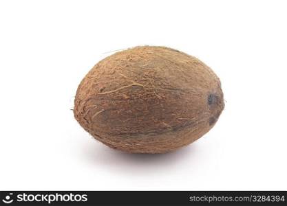 coconut lying on a white background
