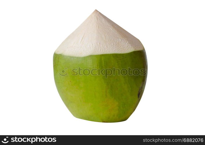 coconut on a white background