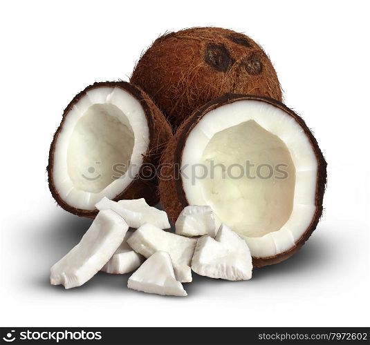 Coconut on a white background as a symbol of tropical climate food and asian cuisine with a full seed and one that is cracked open with the pieces of the white flesh in front as an icon of health and healthy eating of natural ingredients that have medicinal qualities.