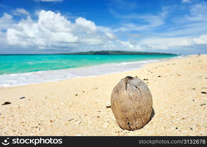 Coconut on beautiful wild beach at remote island, Philippines