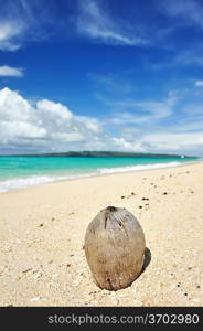 Coconut on beautiful wild beach at remote island, Philippines