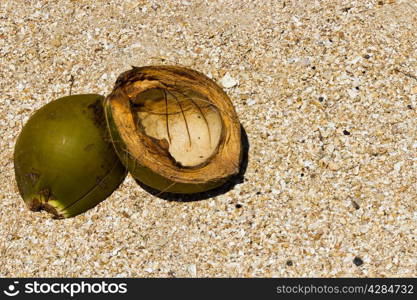 Coconut on the beach