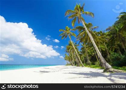 Coconut palm on the beauty beach with turquoise water
