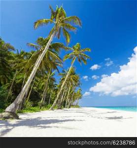 Coconut palm on the beauty beach with turquoise water