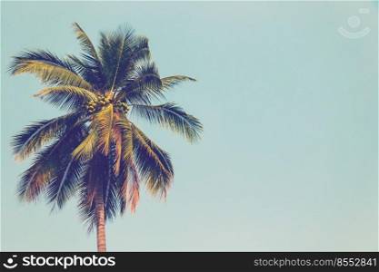 Coconut palm tree and blue sky vintage with space.