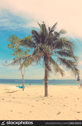 Coconut palm tree and kayaks on the beach with retro filter effect