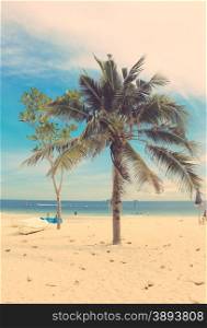 Coconut palm tree and kayaks on the beach with retro filter effect