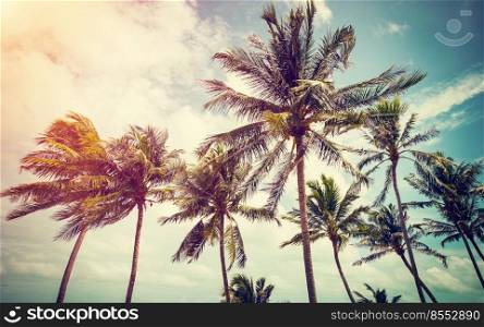Coconut palm tree and sky on beach with vintage toned.