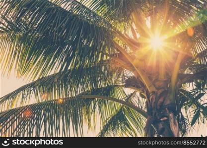 coconut palm tree and sunlight in summer with vintage toned.