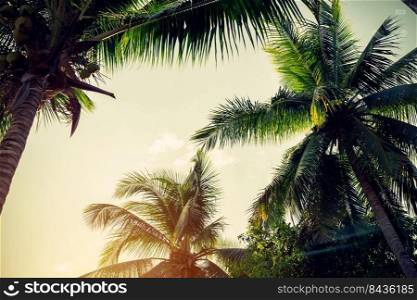 Coconut palm tree on beach and blue sky with vintage toned style.