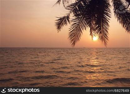Coconut palm tree silhouette against the sunset