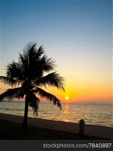 Coconut palm tree silhouetted against sky and sea at sunrise