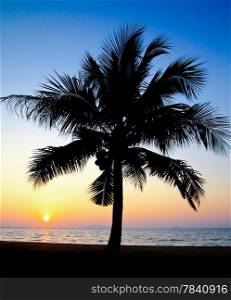 Coconut palm tree silhouetted against sky at sunrise