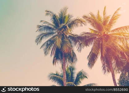 Coconut palm tree with vintage effect.