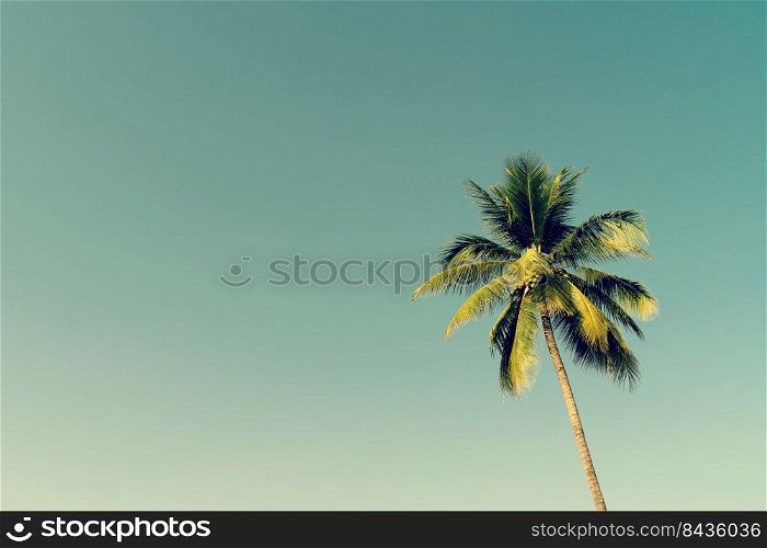 Coconut palm trees and shining sun with vintage effect.