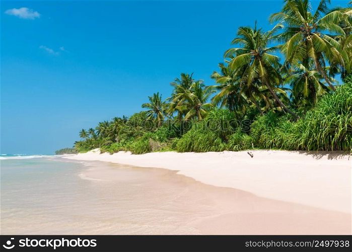 Coconut palm trees on sandy island tropical beach resort