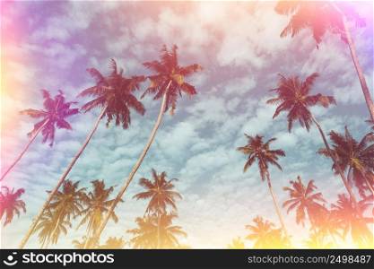 Coconut palm trees on tropical beach vintage film flare leaks toned