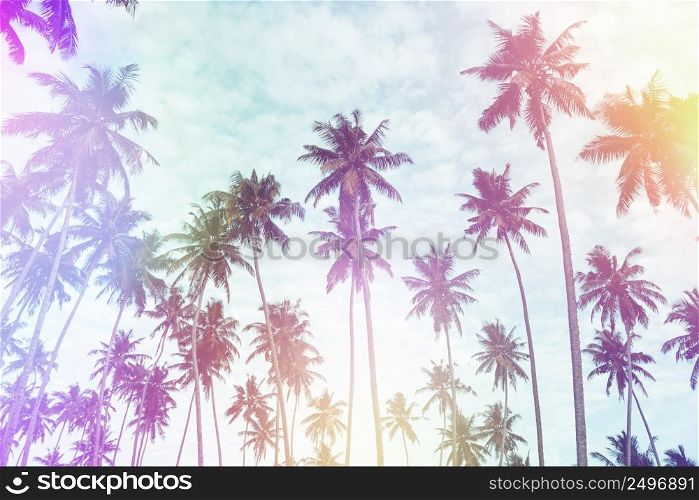Coconut palm trees on tropical beach vintage nostalgic film color filter stylized and toned with light leaks