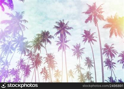 Coconut palm trees on tropical beach vintage nostalgic film color filter stylized and toned with light leaks