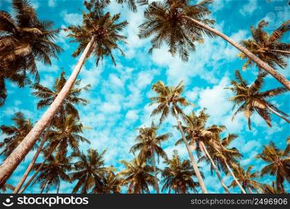 Coconut palm trees on tropical beach vintage nostalgic film color filter stylized