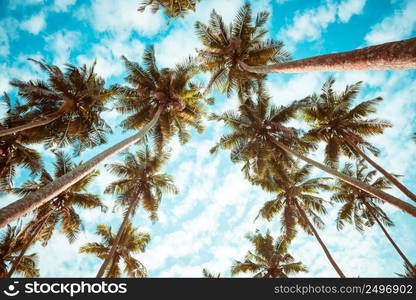 Coconut palm trees on tropical beach vintage nostalgic film color filter stylized and toned