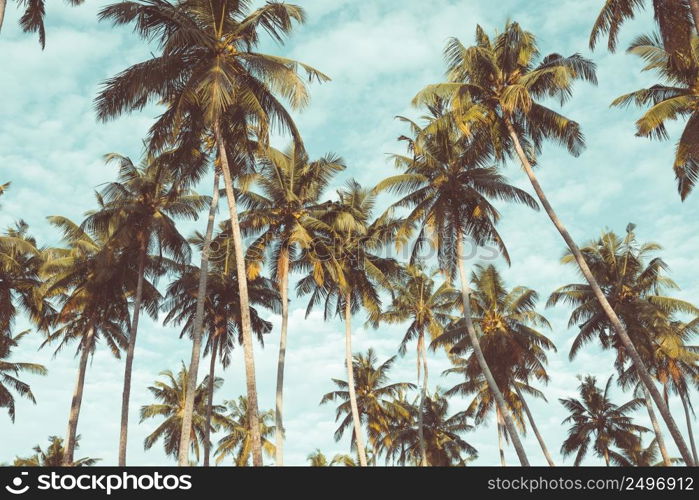 Coconut palm trees on tropical beach vintage nostalgic film color filter stylized and toned