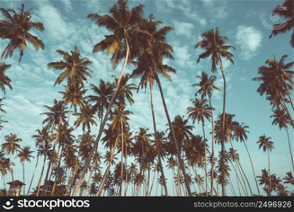 Coconut palm trees on tropical beach vintage nostalgic film color filter stylized and toned