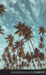 Coconut palm trees on tropical beach vintage nostalgic film color filter stylized and toned