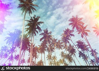 Coconut palm trees on tropical beach vintage nostalgic film color filter stylized with light leaks