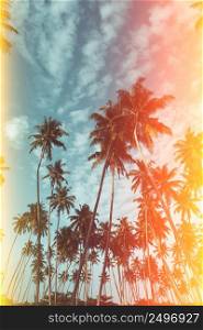Coconut palm trees on tropical beach vintage nostalgic film color filter stylized with light leaks