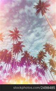 Coconut palm trees on tropical beach vintage toned