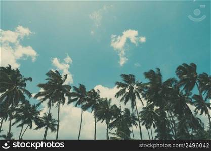 Coconut palm trees on tropical ocean beach, vintage toned and retro color stylized