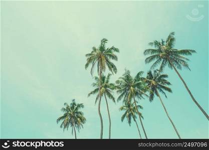 Coconut palm trees vintage filtered