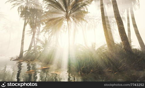 coconut palms in deep morning fog